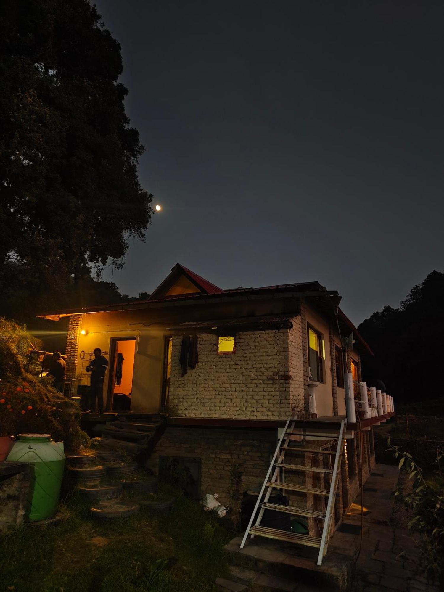 Simba Jungle Lodge, Binsar Wildlife Sanctuary Extérieur photo